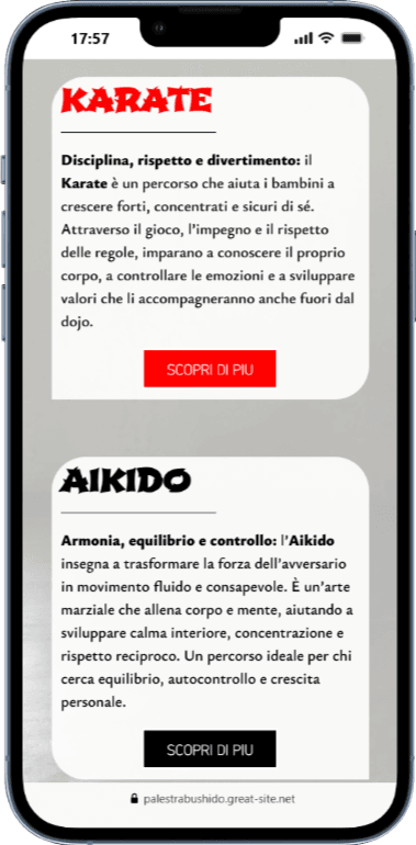 Palestra Bushido - 6